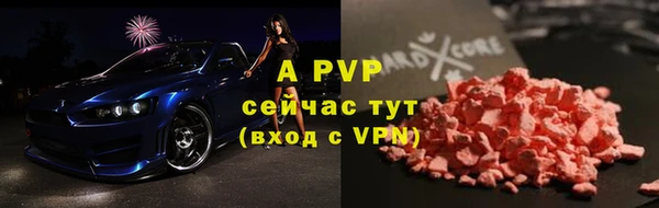 стафф Аркадак