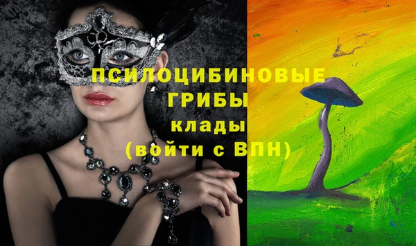 бутират Арсеньев